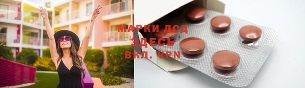 стафф Новозыбков