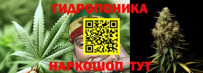 СК Донской