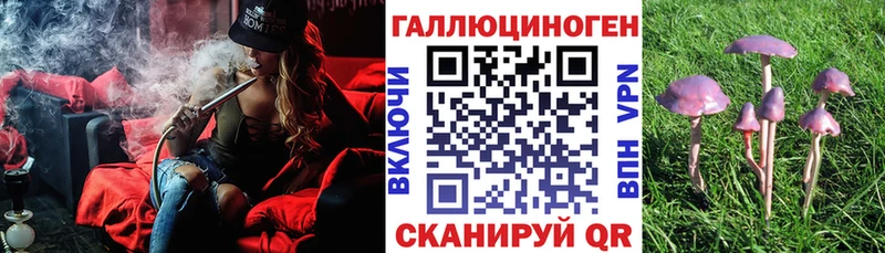 Галлюциногенные грибы прущие грибы  Зерноград 